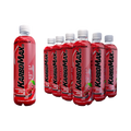 Vitalix KarboMax 30 500ml